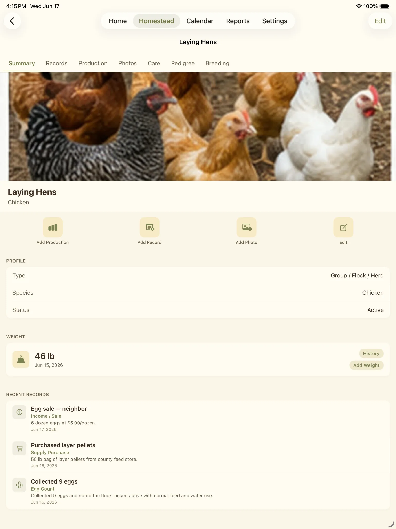 Laying Hens animal summary showing profile, weight, recent records, and action buttons.