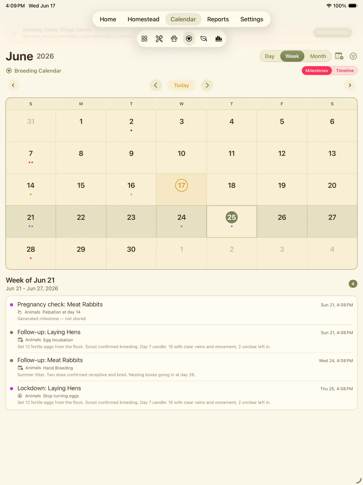 Homestead Keeper calendar week view showing breeding calendar events and milestones.